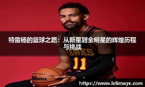 特雷杨的篮球之路：从新星到全明星的辉煌历程与挑战